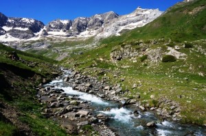 Copie de DSC07332            