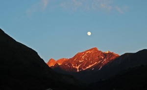IMG_2409 (Copier)            