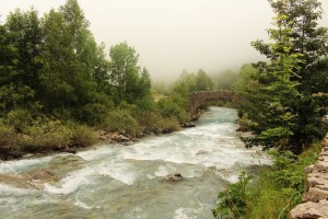 IMG_2596 (Copier)            