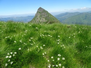 Vers le Viscos (16)            