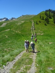 Vers le Viscos (7)  