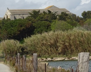 13 Maguelonne (2)