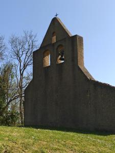 IMG 20250410 113621