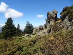 Monne-Rouye-46