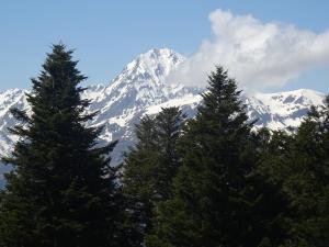 Monne-Rouye-50
