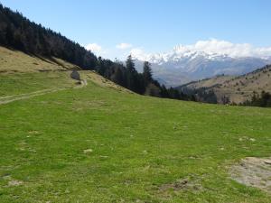 Monne-Rouye-65