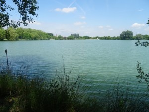 Montamat (29) 