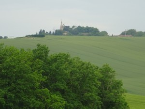Montamat (5) 