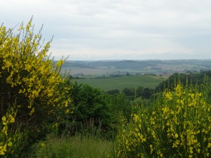Montamat (8) 