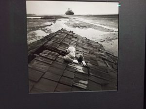 IMG 20250514 142742