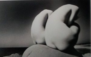 abattoirs-jumelles