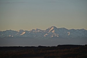 IMG_4645 (Copier)