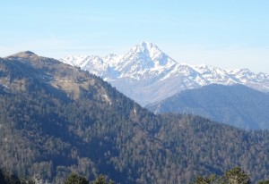 Nistos Cap Nestès (19)   