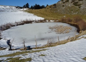 Nistos Cap Nestès (22)   