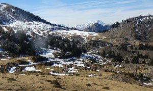 Nistos Cap Nestès (34)   