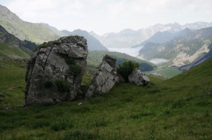 Copie de DSC06284 (Copier)     