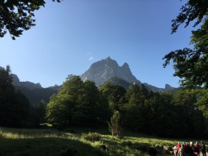 Ossau 4 Julien                    