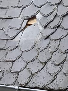 20250623 105254
