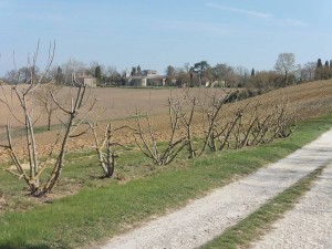 AUBIET 12