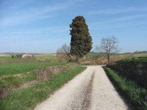AUBIET 18