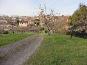 AUBIET 19