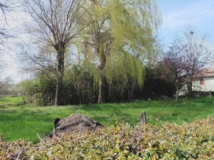 AUBIET