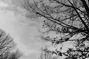 DSC_0619_DxO_DxO