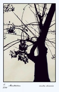 DSC_1073_DxO_DxO