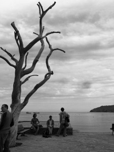 IMG_0183_DxO_DxO