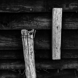 DSC_0460_DxO_1200pixels