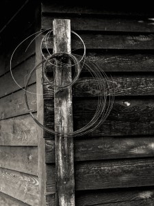 DSC_0493_DxO_1200pixels
