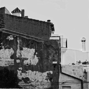 DSC_5391_DxO_1200pixels
