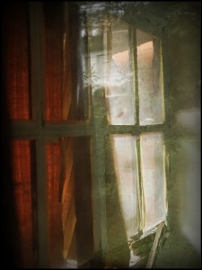 DSC_0895_DxO  