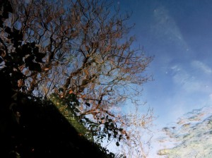 DSC_1379_DxO  
