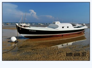 DSC_1908_DxO 