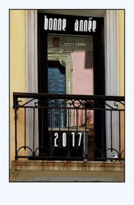 DSC_2005_DxO_lzn 