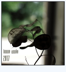 DSC_5173_DxO 