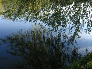 photo001 