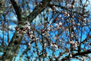photo003 