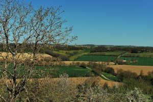 photo004 
