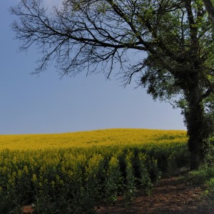 photo006 