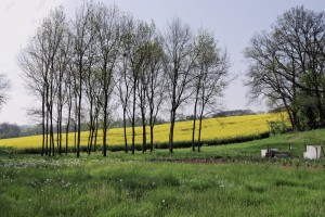 photo007 