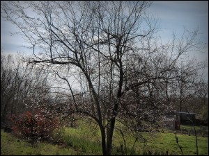 photo010 