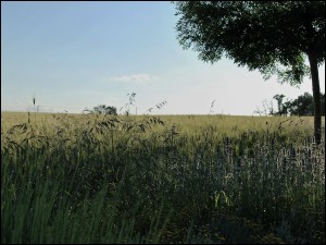 photo011 