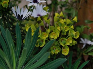 photo012 