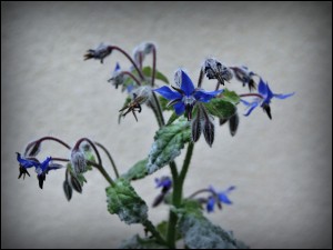 photo013 