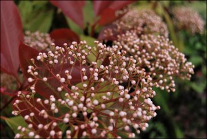 photo017 