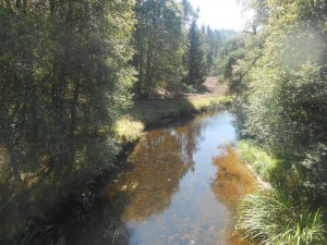 Reflets 