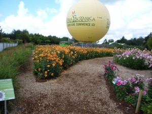 Terra Botanica     