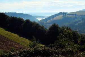 Viaduc du Viaur     